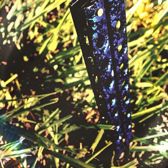 My Photos: My Photos