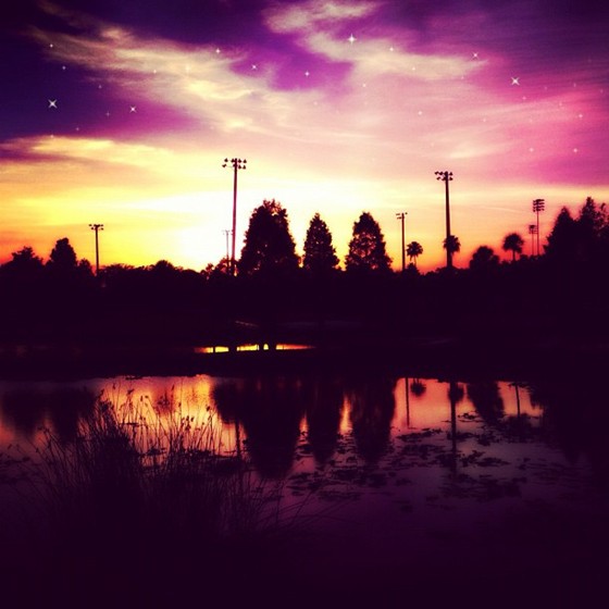 My Photos: My Photos