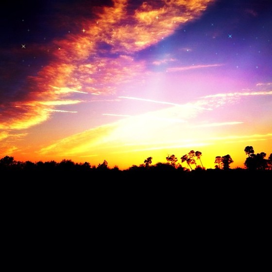 My Photos: My Photos