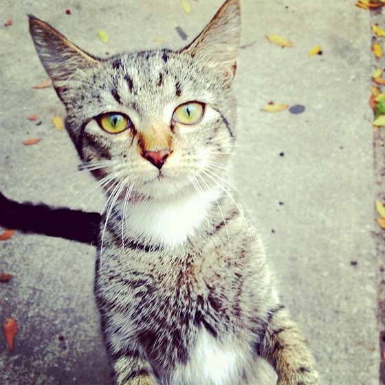 My Photos: My Photos