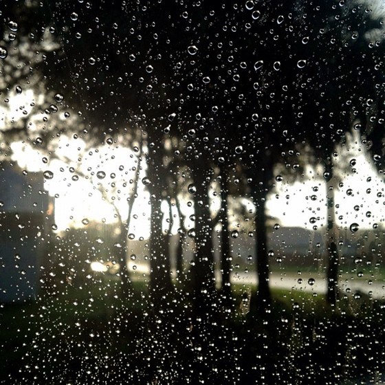 My Photos: My Photos