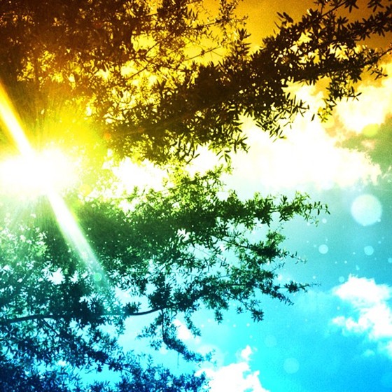 My Photos: My Photos