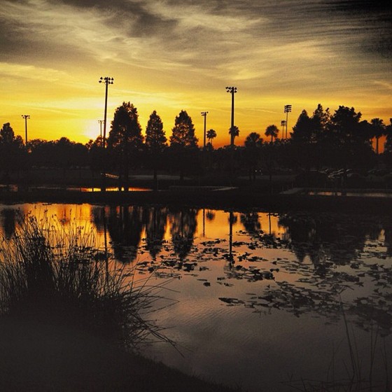 My Photos: My Photos