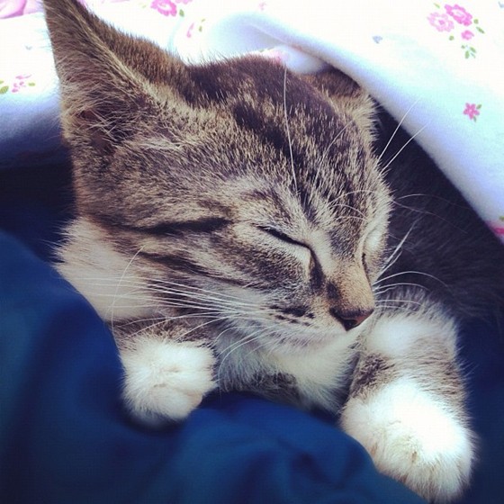 My Photos: My Photos