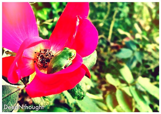 My Photos: My Photos