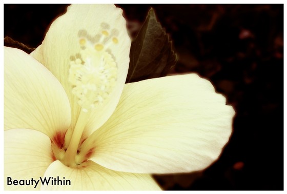 My Photos: My Photos