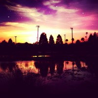 Портфолио Rayshawn Fisher